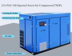 Luoyou Industrie-Schraubenluftkompressor 55 kW, 75 PS, 8 bar, 10 bar, 13 bar, VSD-Werksverkauf, guter Preis, hochwertig, 10,05 m&sup3;/min, 7,8 m&sup3;/min, 7,3 m&sup3;/min, energiesparend, 8 kg, 10 kg, 13 kg, 0,8 MPa, 1,0 MPa, 1,3 MPa, einstufig